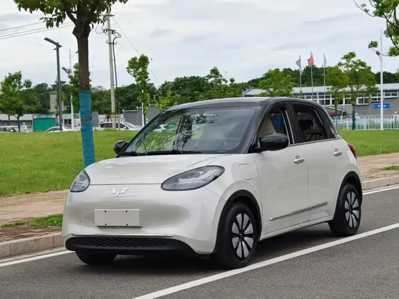 Wuling Bingo, 2024