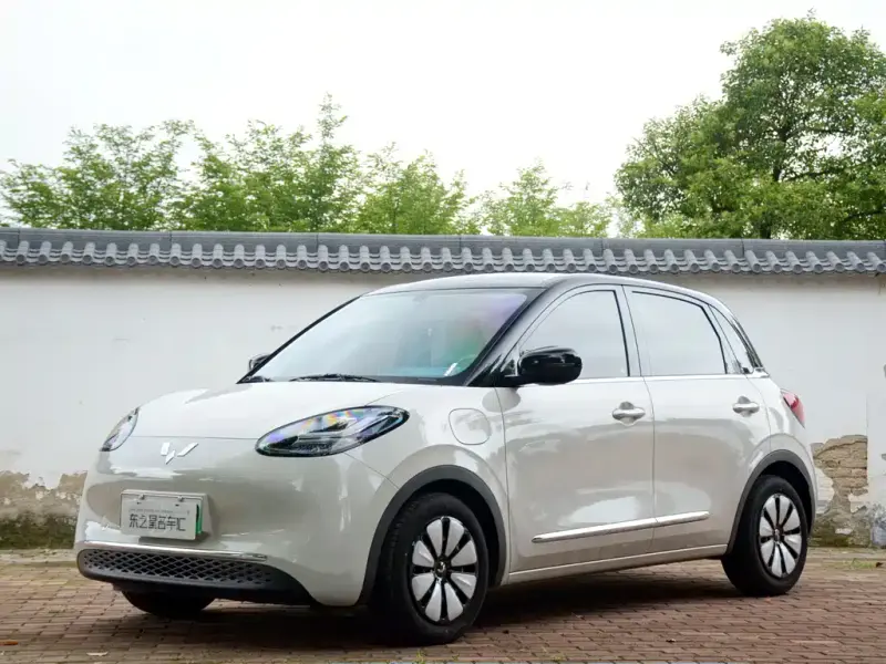 Wuling Bingo, 2025