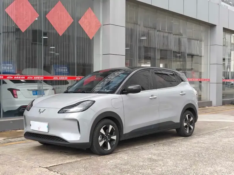 Wuling Bingo PLUS, 2024