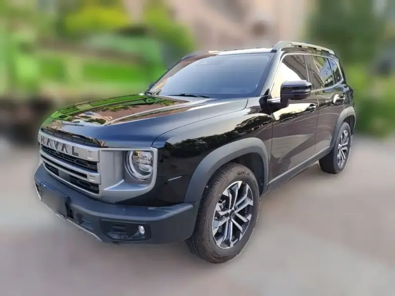 Haval Big Dog, 2024