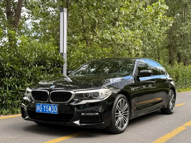 BMW 5 Series, 2017