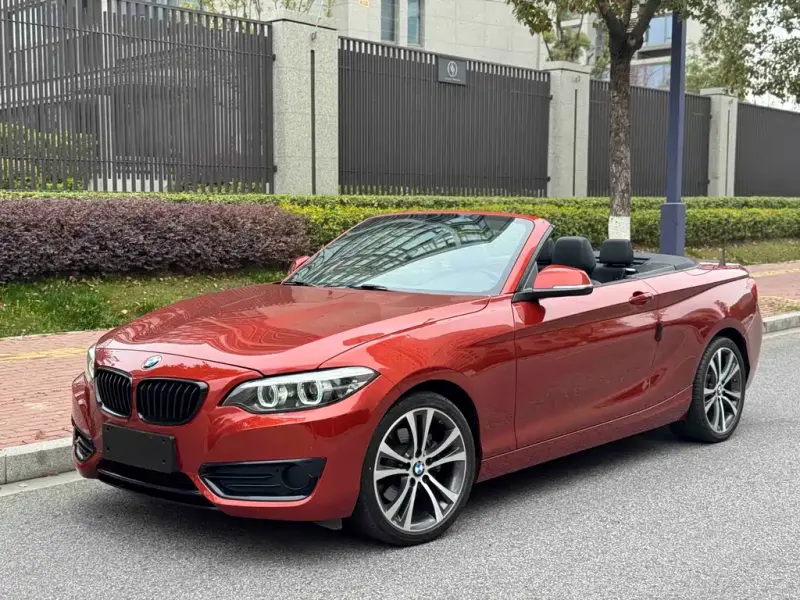 BMW 2 Series (Import), 2021