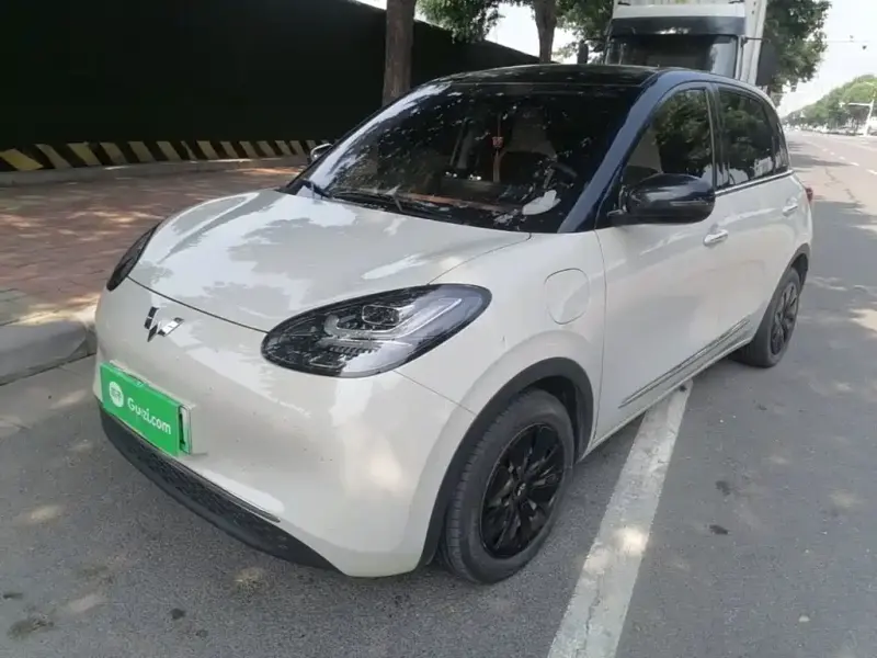 Wuling Bingo, 2024