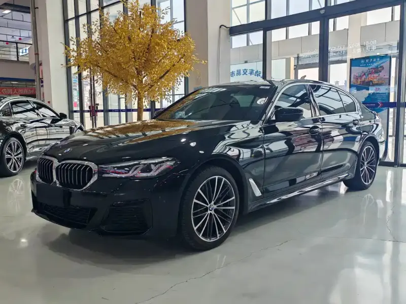 BMW 5 Series, 2021