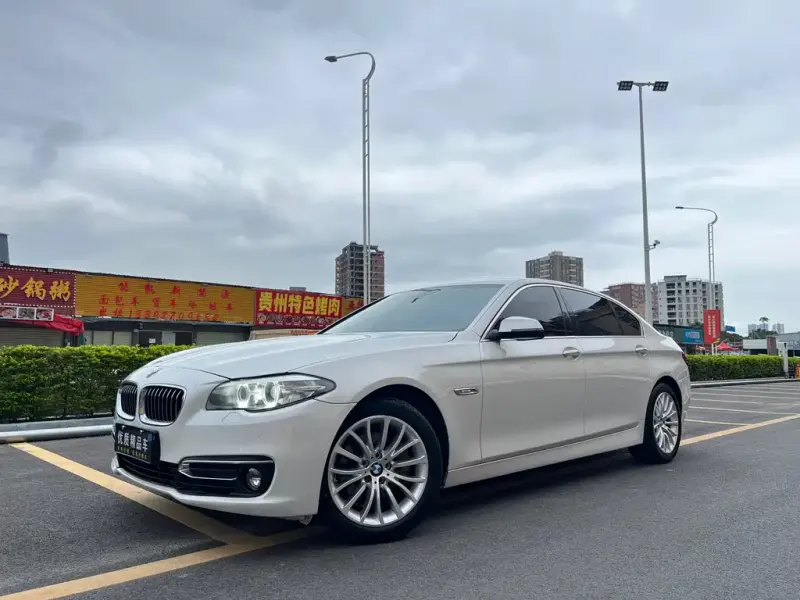 BMW 5 Series, 2017 — фото 1