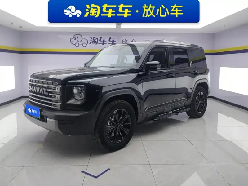 Haval Menglong New Energy, 2024
