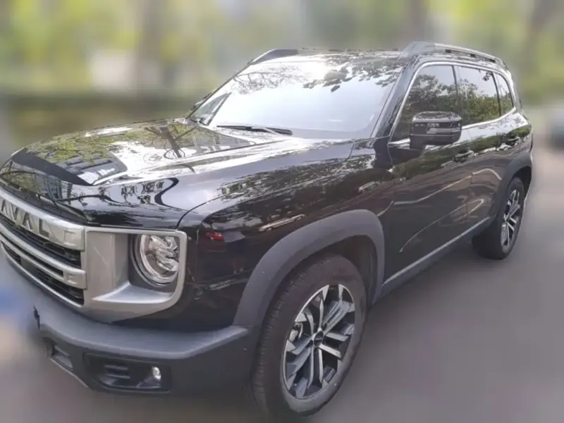 Haval Big Dog, 2024
