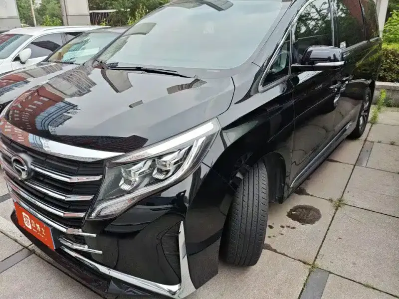 GAC Motor Trumpchi M8, 2024