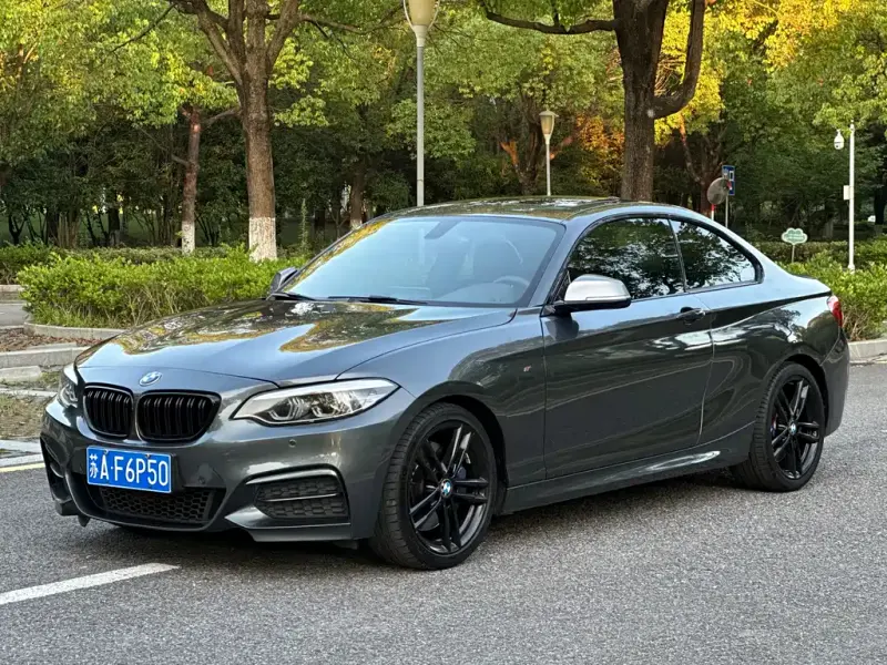 BMW 2 Series (Import), 2018