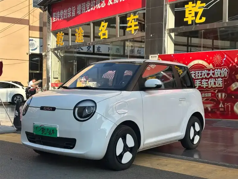 Qiyuan Lumin, 2024