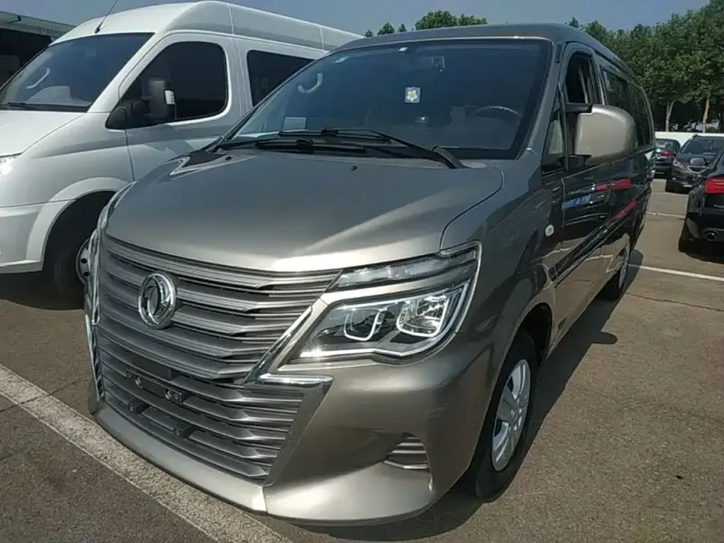 Fengxing Lingzhi, 2021