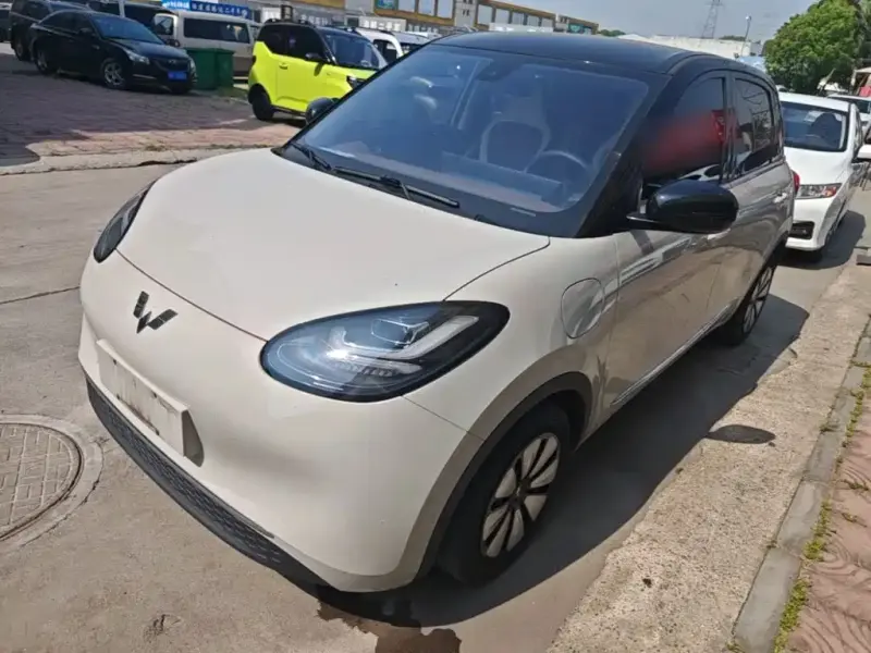 Wuling Bingo, 2024