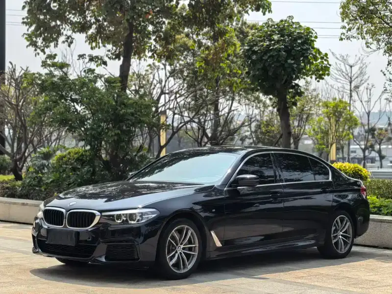 BMW 5 Series, 2020