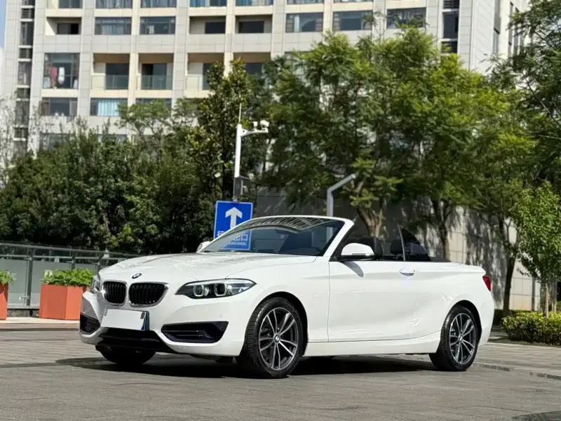 BMW 2 Series (Import), 2019