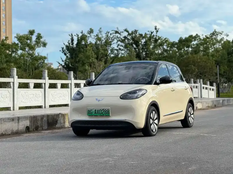 Wuling Bingo, 2026