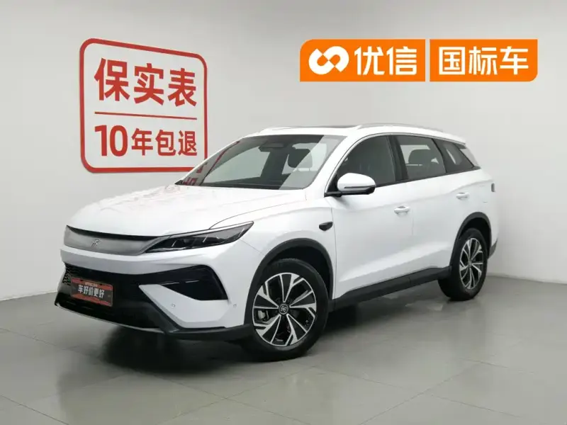 BYD Pro New Energy, 2025 — фото 1