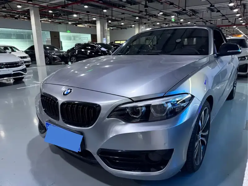 BMW 2 Series (Import), 2019