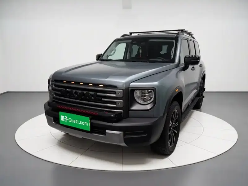 Haval Menglong New Energy, 2024