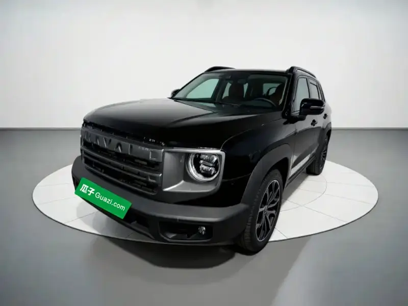 Haval Big Dog, 2024