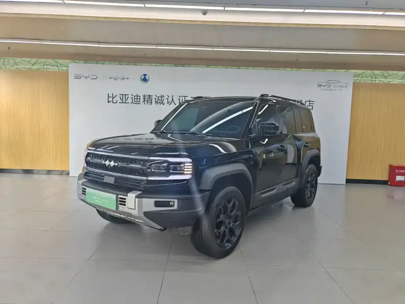 Fang Cheng Bao Leopard 5, 2024