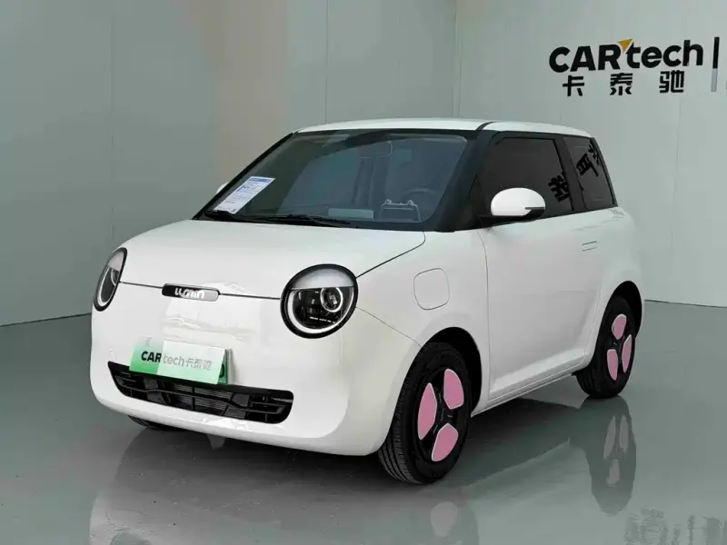 Qiyuan Lumin, 2025