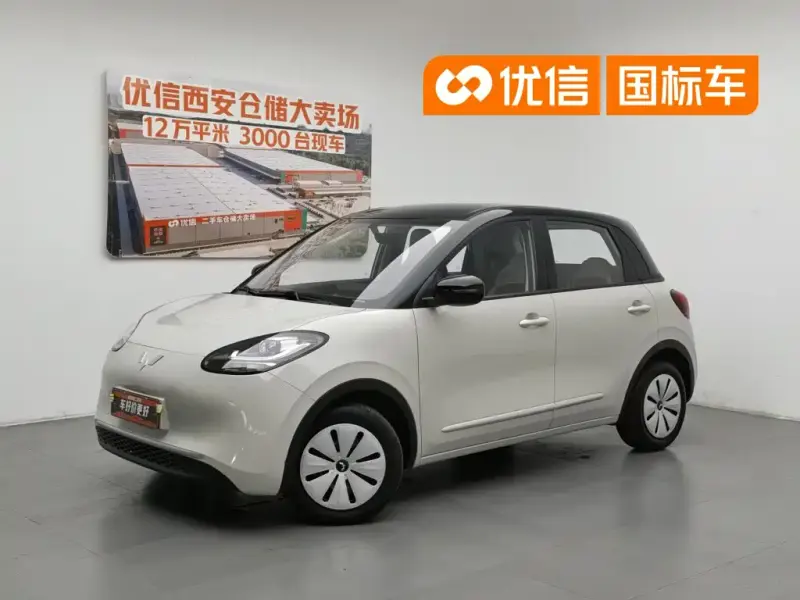 Wuling Bingo, 2024