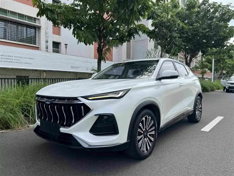 Oshan Oushang X5, 2021