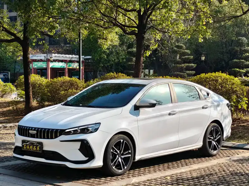 Geely Binrui, 2024