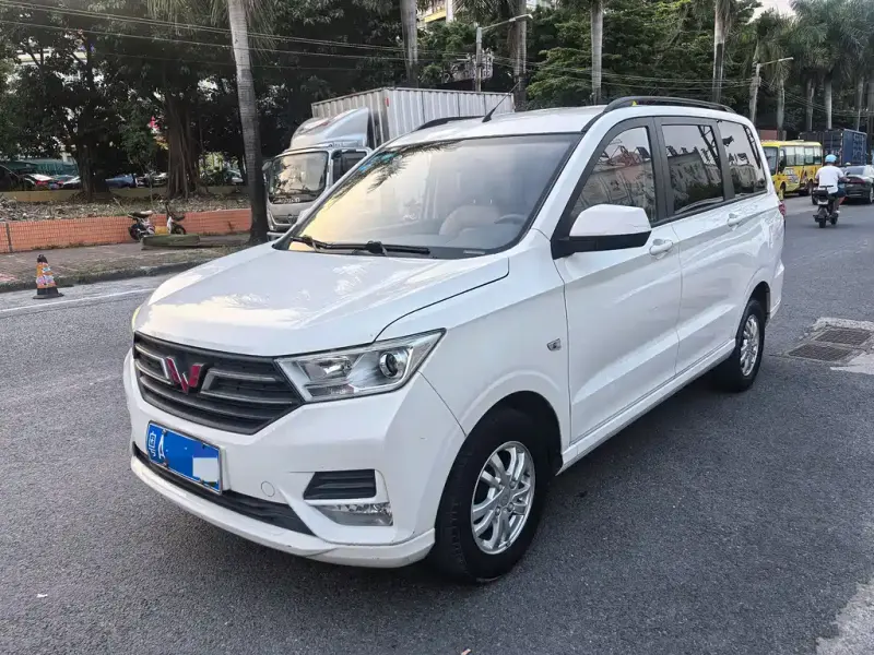 Wuling Hongguang, 2019