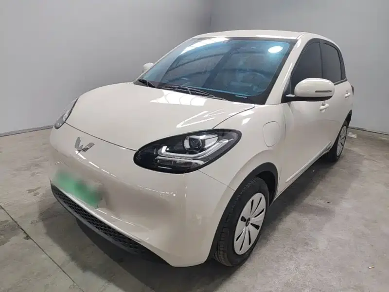 Wuling Bingo, 2024
