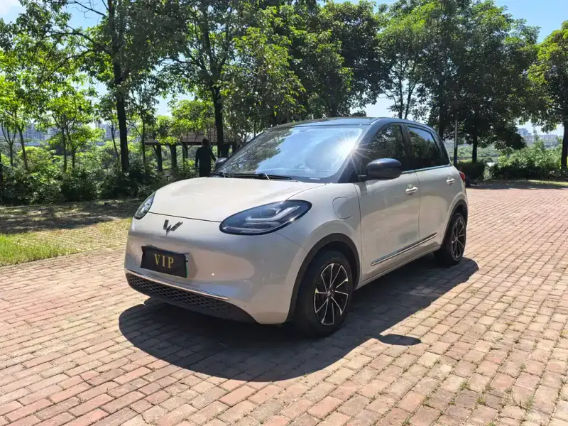 Wuling Bingo, 2024