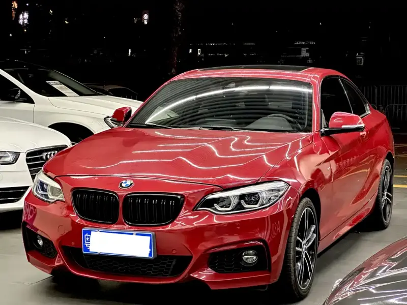 BMW 2 Series (Import), 2019