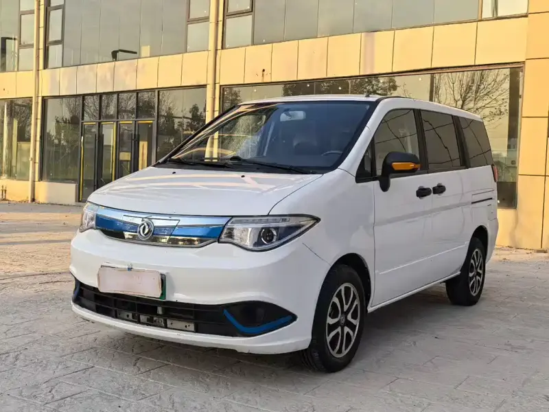 Dongfeng New Energy, 2020