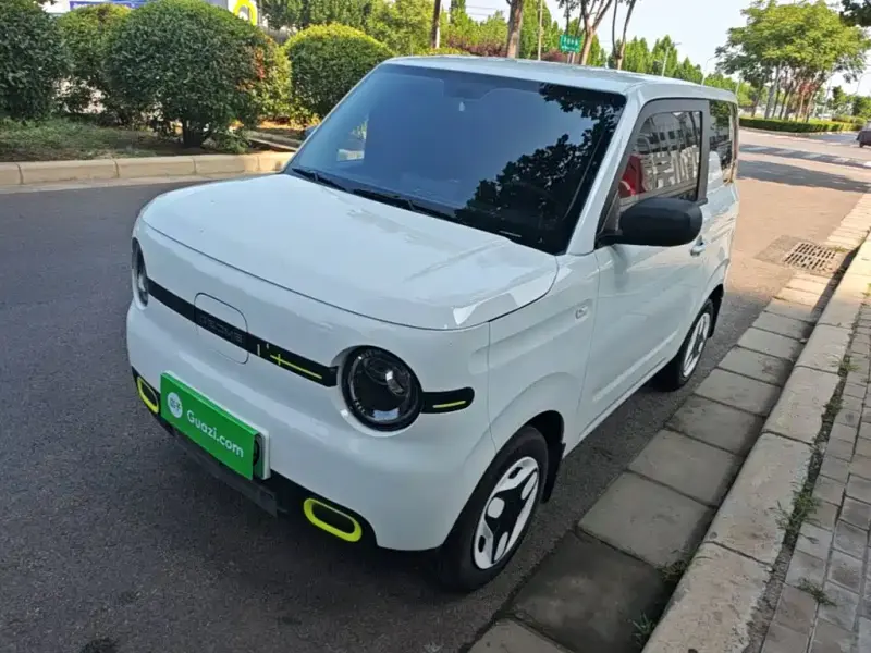 Galaxy Panda, 2025
