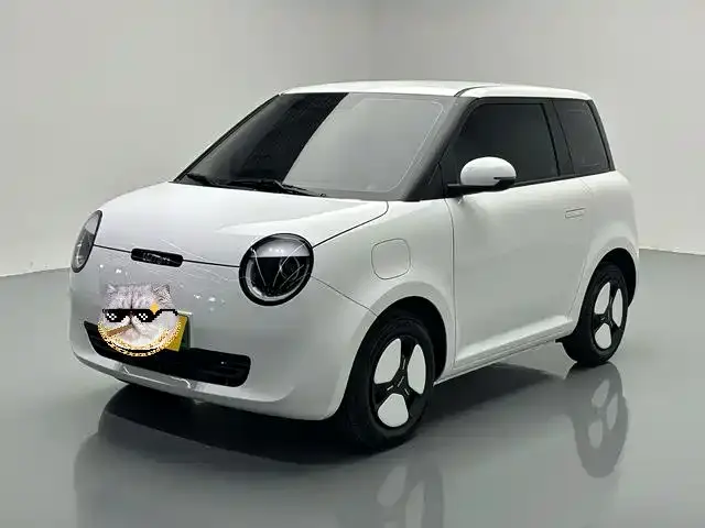 Qiyuan Lumin, 2025