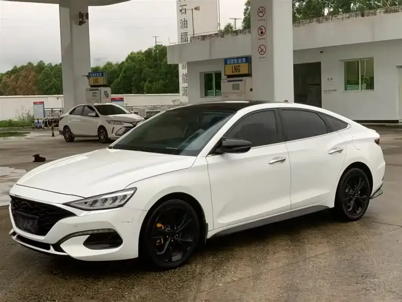 Hyundai Fista, 2019