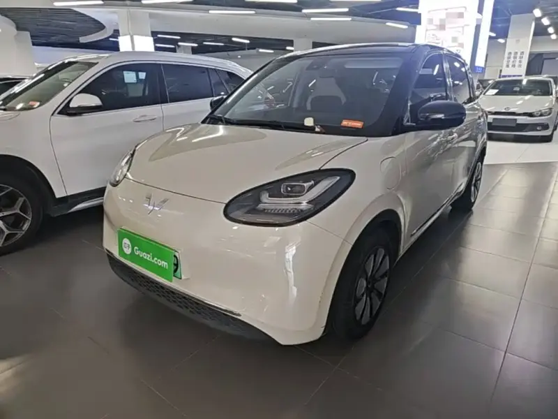 Wuling Bingo, 2024