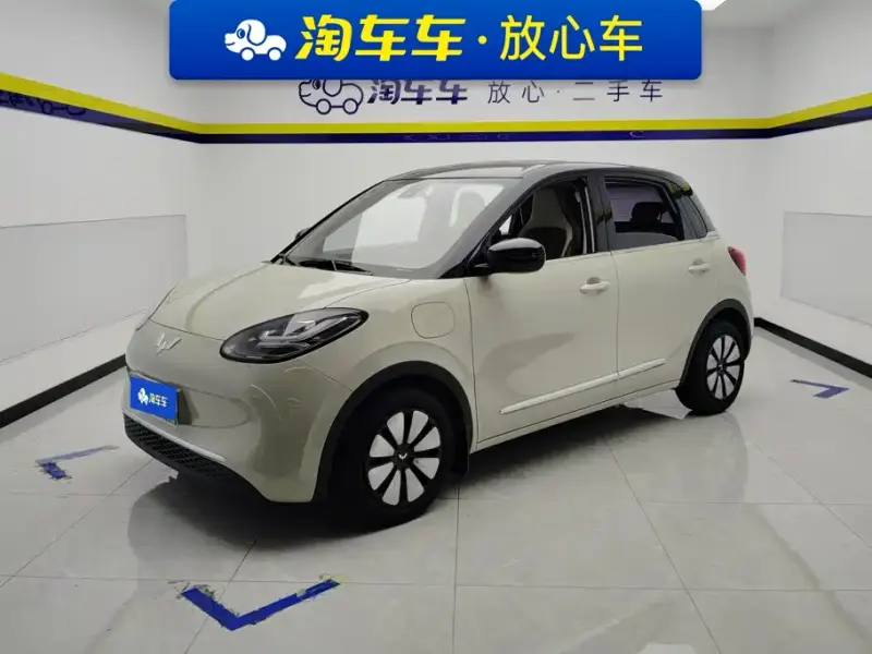 Wuling Bingo, 2024