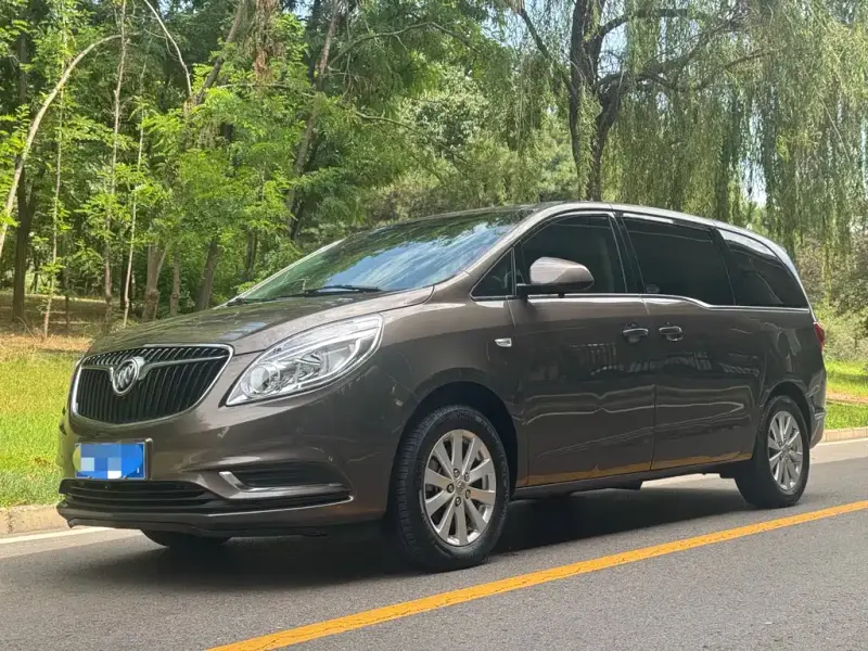 Buick GL8, 2019