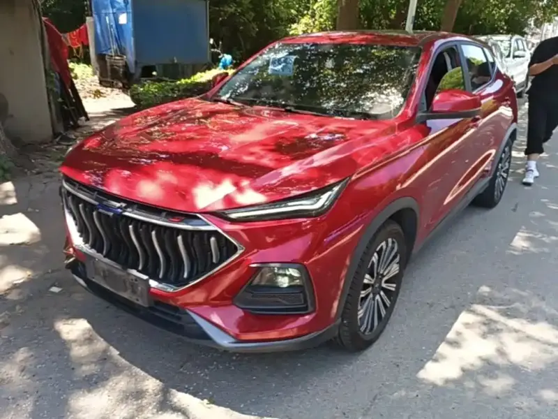 Oshan Oushang X5, 2021