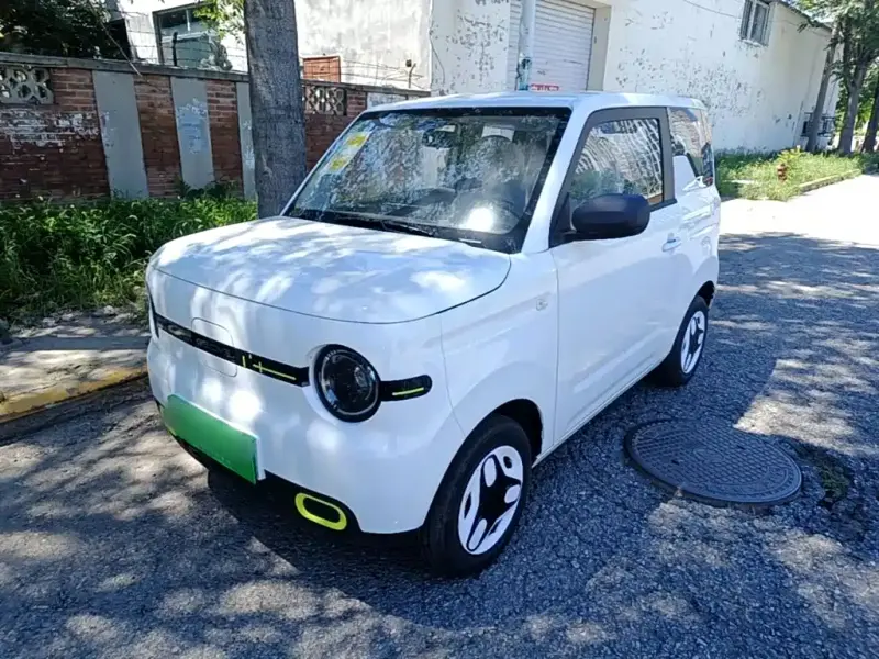 Galaxy Panda, 2026