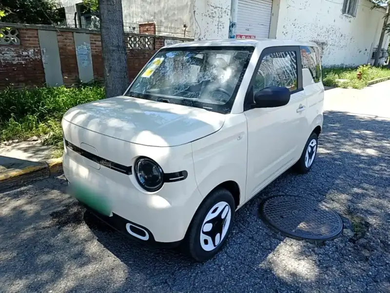 Galaxy Panda, 2026