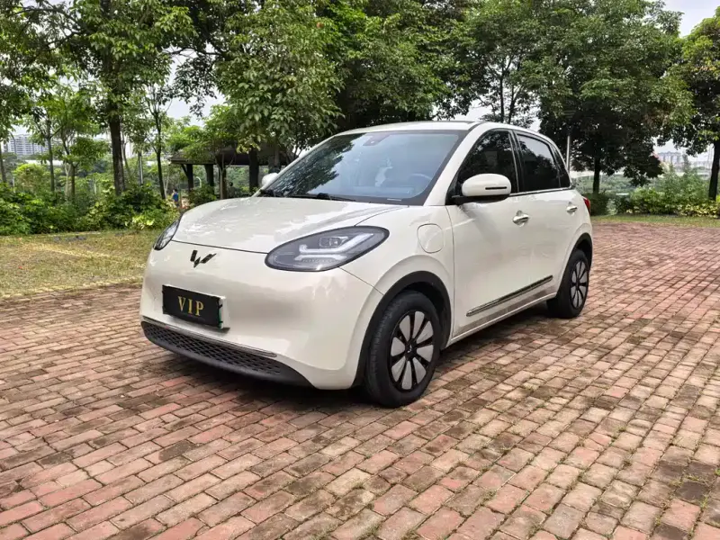 Wuling Bingo, 2023