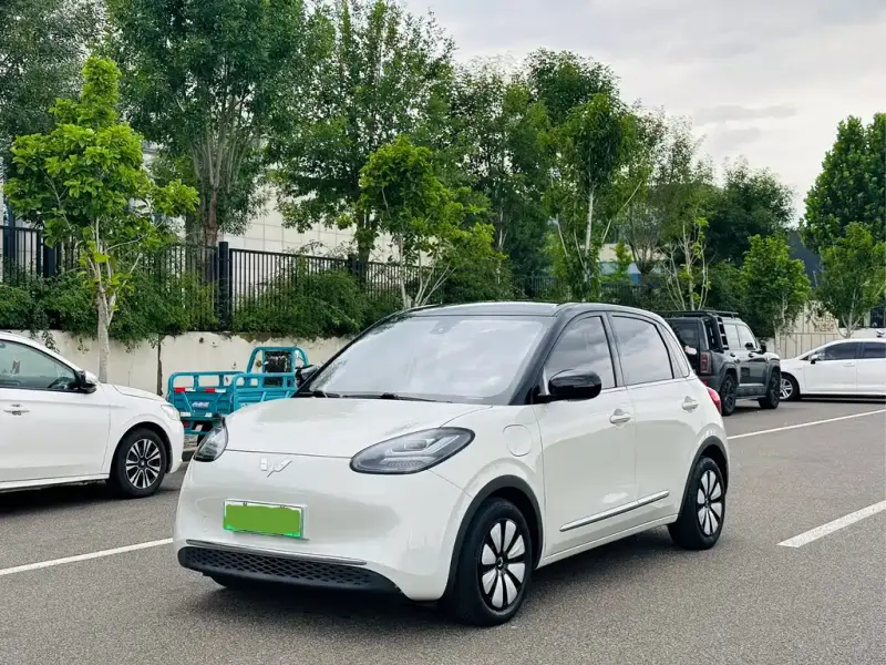 Wuling Bingo, 2023