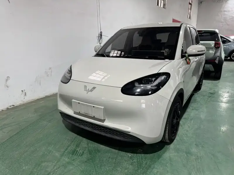 Wuling Bingo, 2023