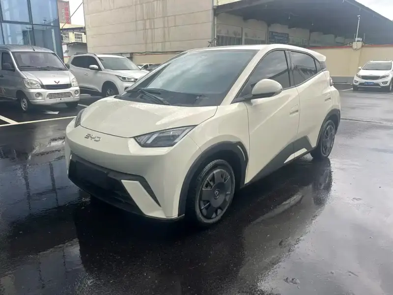 BYD Seagull, 2024