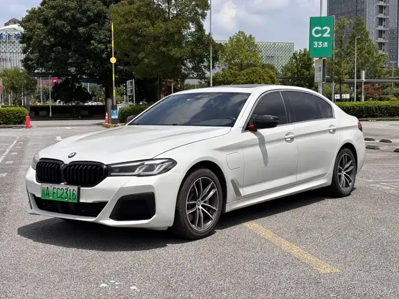 BMW 5 Series New Energy, 2021 — фото 1