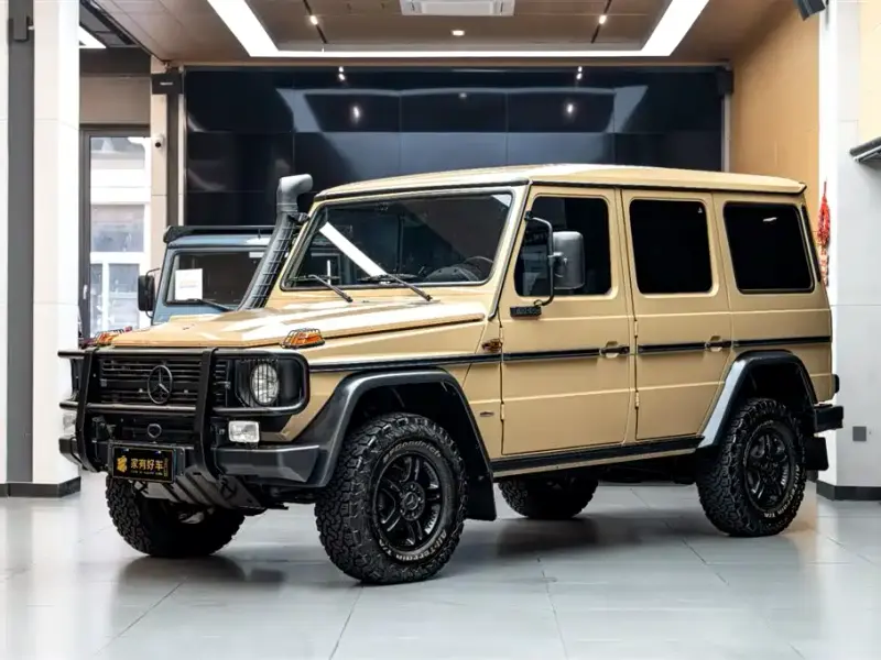 Mercedes-Benz G-Class, 2010