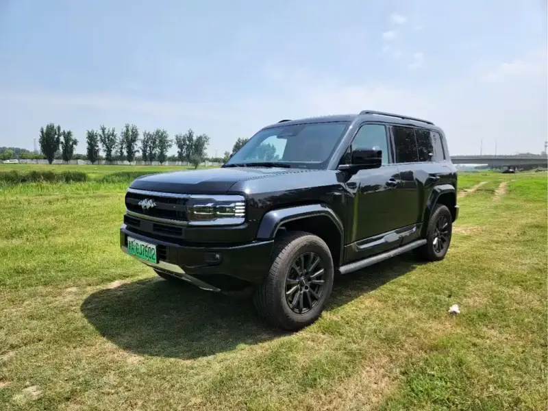 Fang Cheng Bao Leopard 5, 2025