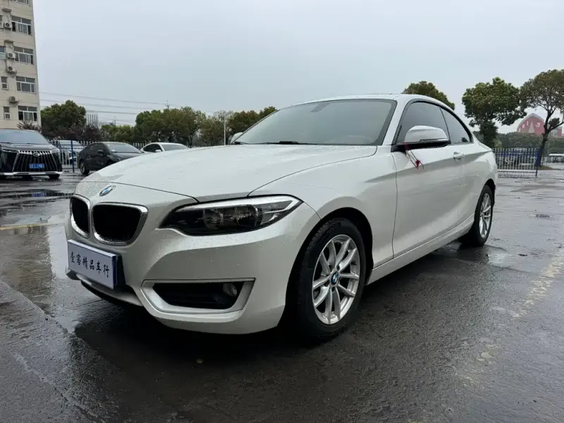 BMW 2 Series (Import), 2016